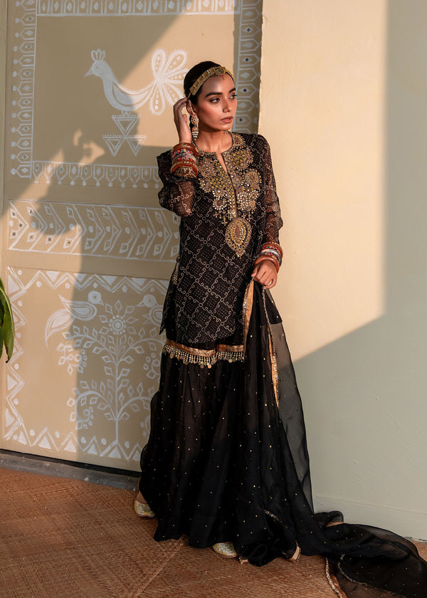 SITARA - BLACK PURE ORGANZA KURTA WITH SHARARA