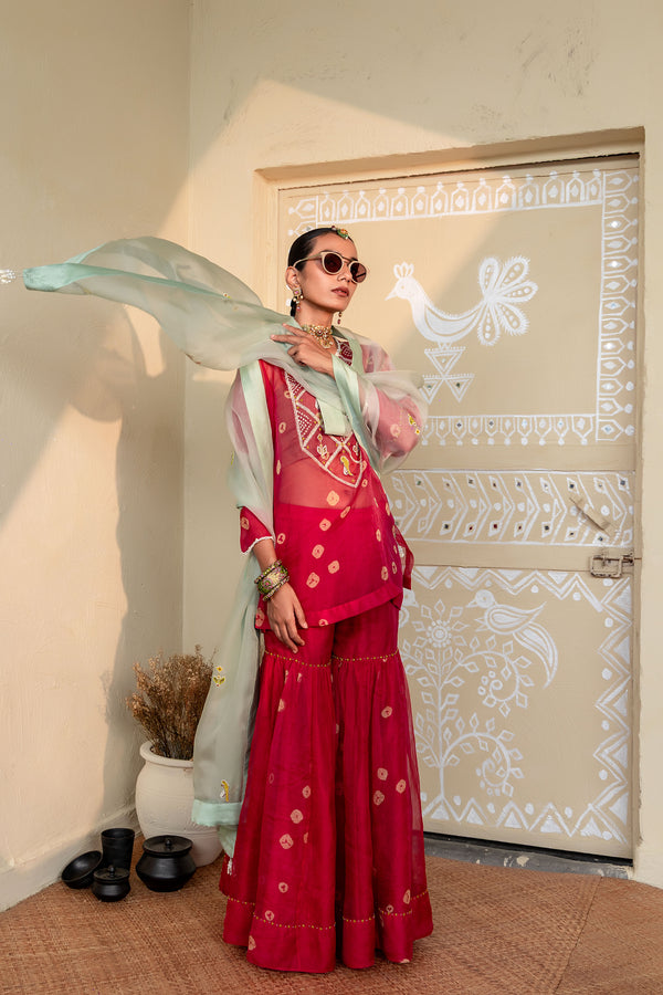 Aabroo - ORGANZA KURTA & GHARARA SET
