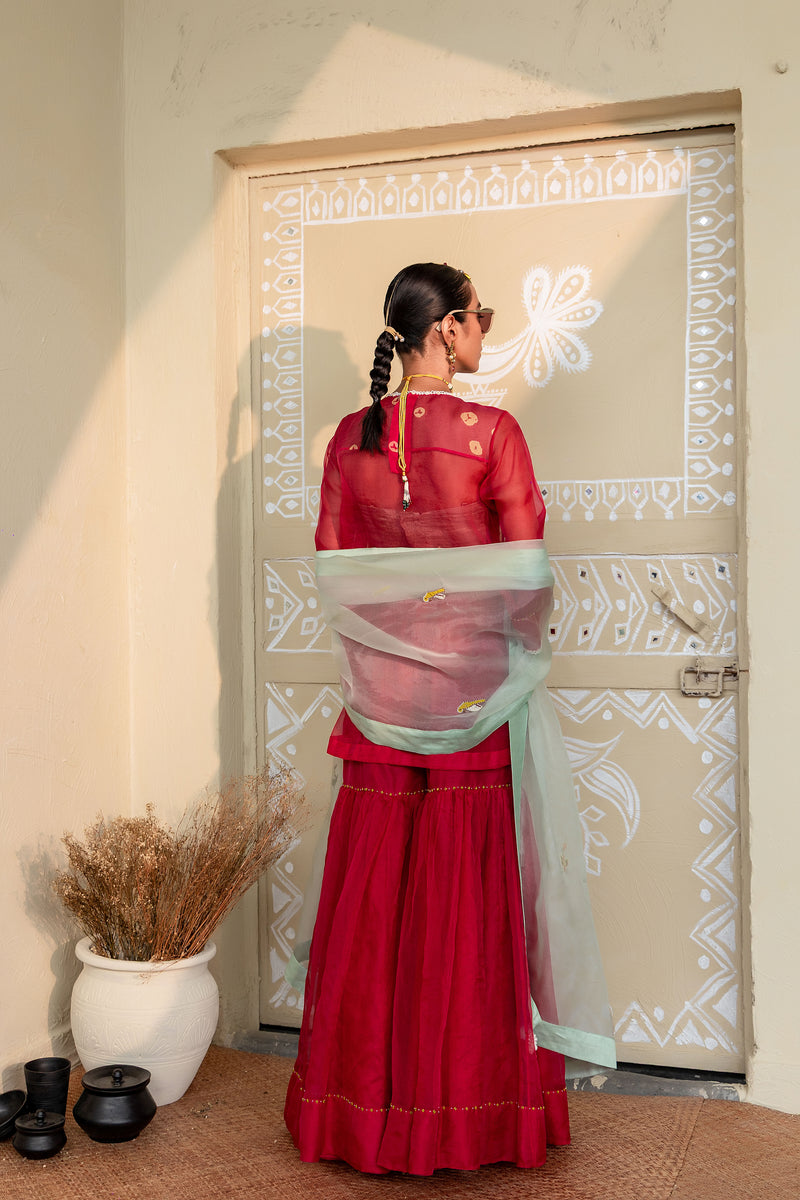 Aabroo - ORGANZA KURTA & GHARARA SET
