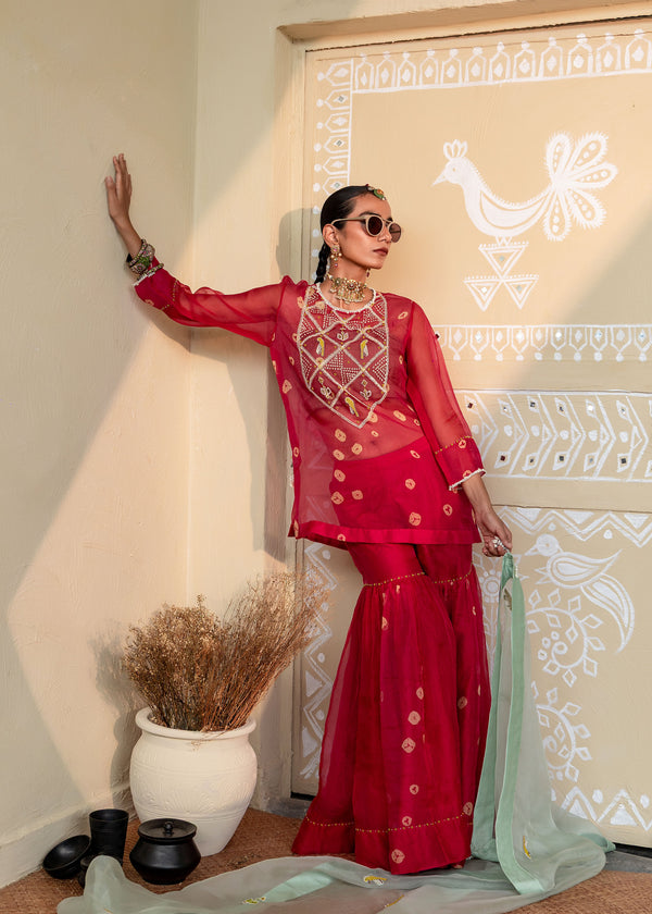 Aabroo - ORGANZA KURTA & GHARARA SET