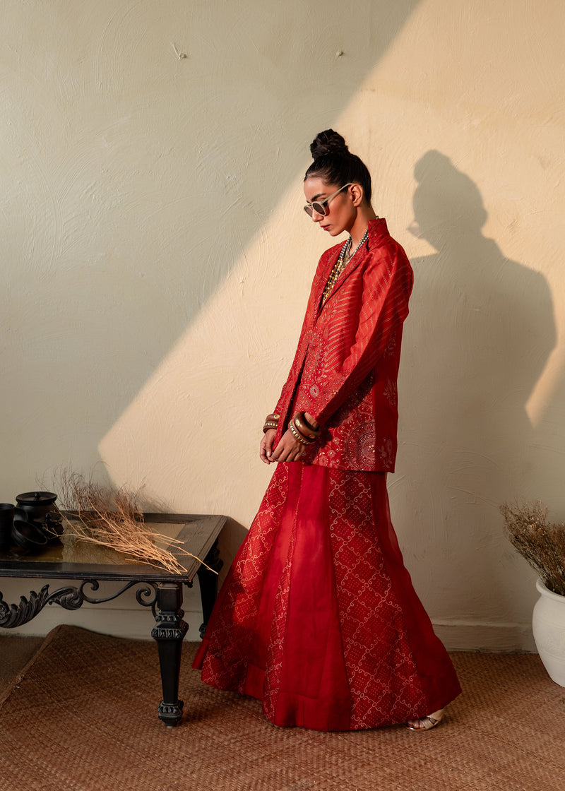 AGNIKA - ORGANZA BLAZER WITH SHARARA PANTS