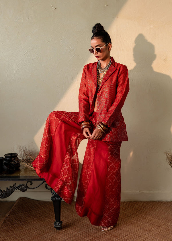AGNIKA - ORGANZA BLAZER WITH SHARARA PANTS