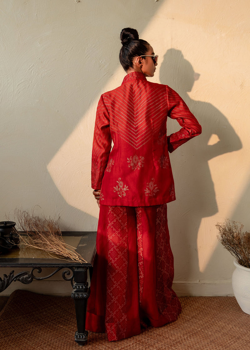 AGNIKA - ORGANZA BLAZER WITH SHARARA PANTS