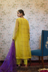 Vindaa - Yellow organza kurta with chanderi pant and organza dupatta